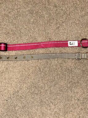 Small dog collars